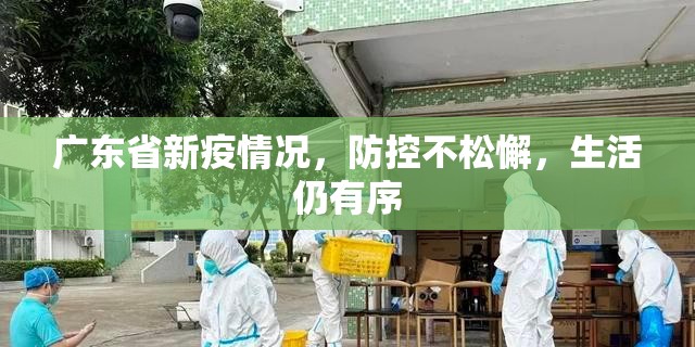 广东省新疫情况，防控不松懈，生活仍有序