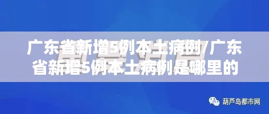 广东省新增5例本土病例/广东省新增5例本土病例是哪里的