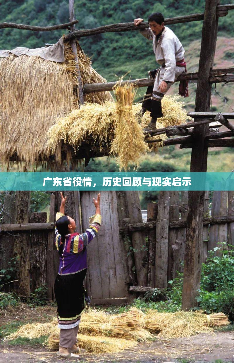 广东省役情，历史回顾与现实启示