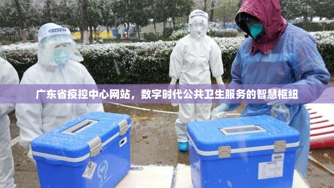 广东省疫控中心网站，数字时代公共卫生服务的智慧枢纽