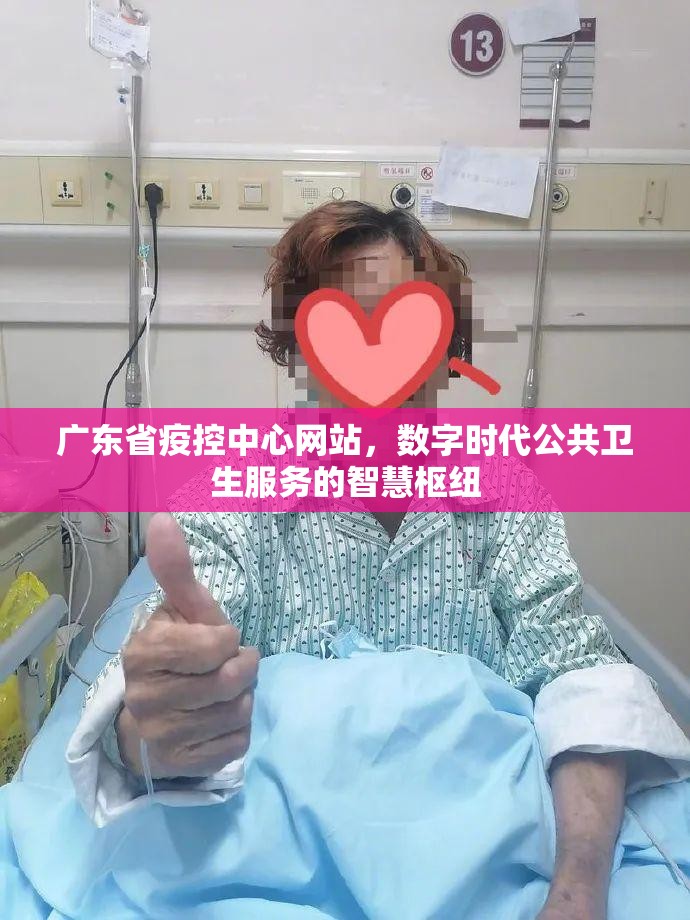 广东省疫控中心网站，数字时代公共卫生服务的智慧枢纽