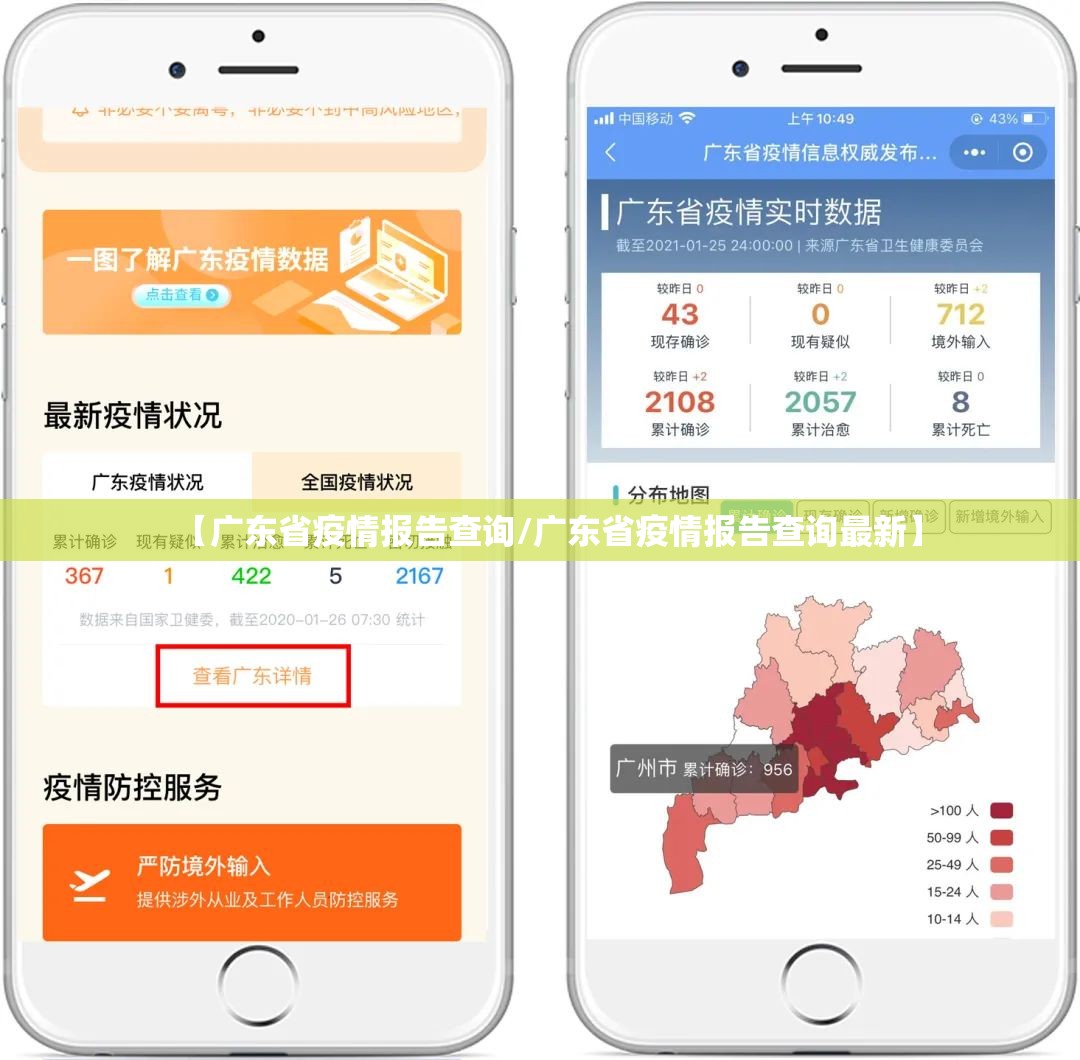 【广东省疫情报告查询/广东省疫情报告查询最新】