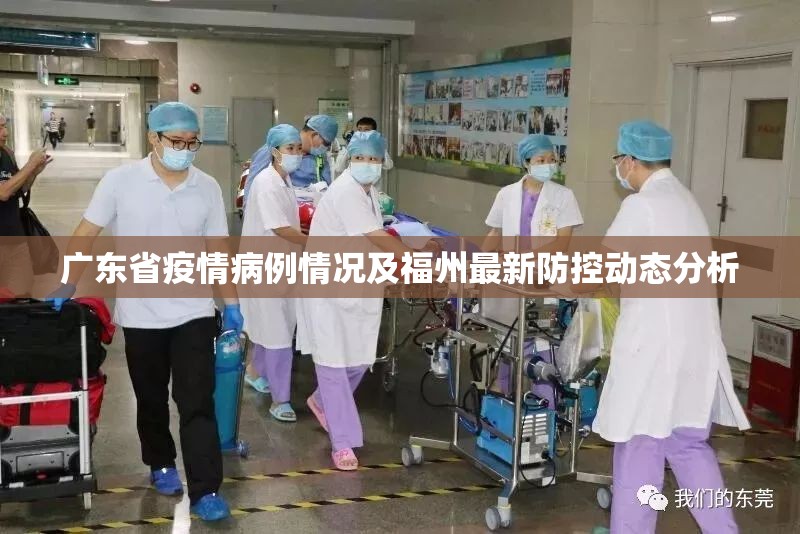 广东省疫情病例情况及福州最新防控动态分析