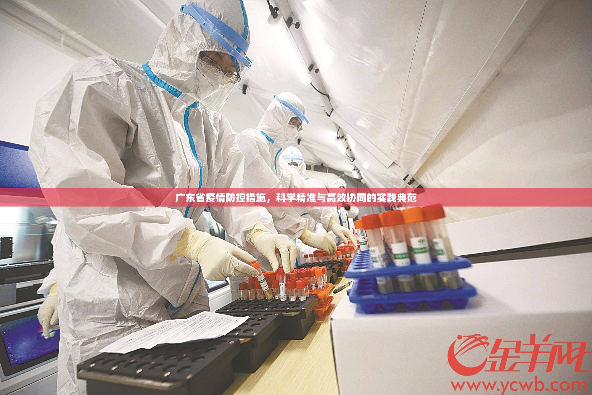 广东省疫情防控措施，科学精准与高效协同的实践典范