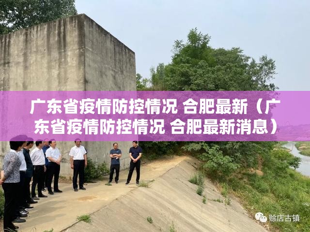 广东省疫情防控情况 合肥最新（广东省疫情防控情况 合肥最新消息）