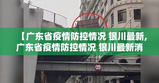 【广东省疫情防控情况 银川最新,广东省疫情防控情况 银川最新消息】