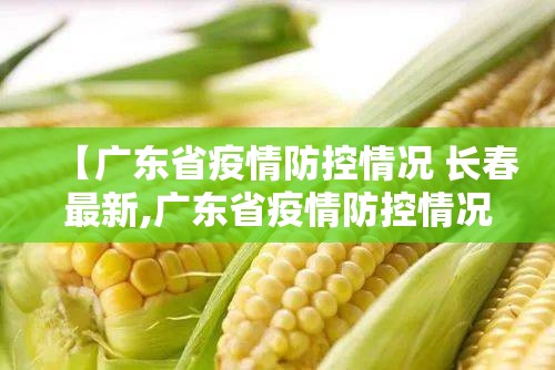 【广东省疫情防控情况 长春最新,广东省疫情防控情况 长春最新消息】
