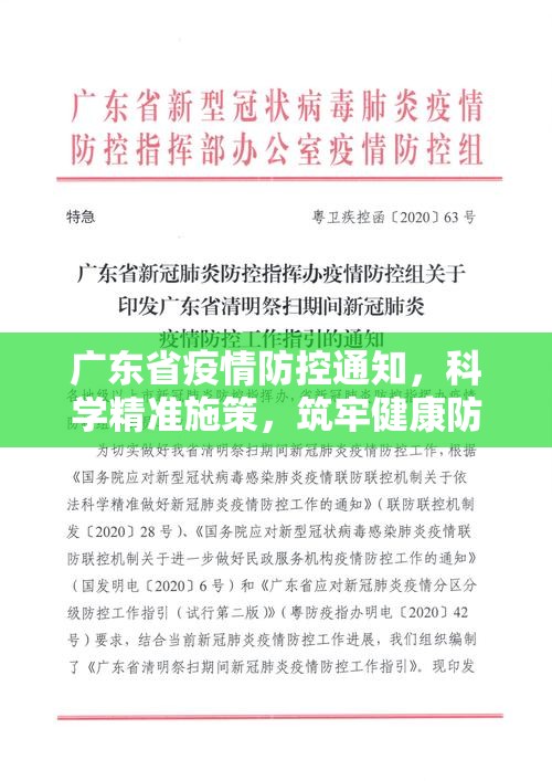 广东省疫情防控通知，科学精准施策，筑牢健康防线