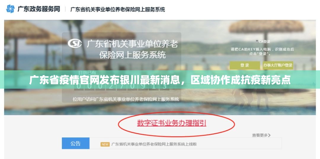 广东省疫情官网发布银川最新消息，区域协作成抗疫新亮点