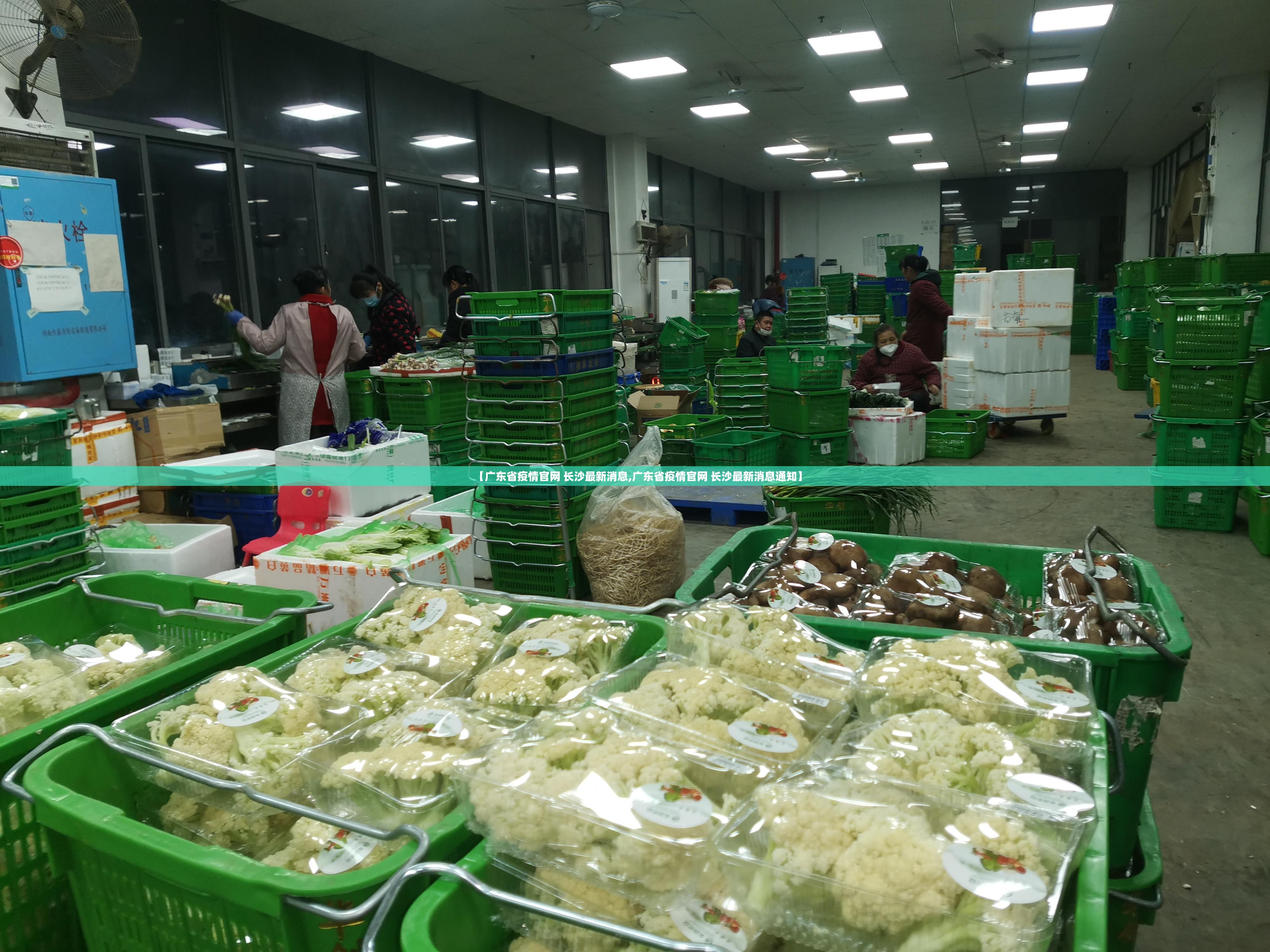 【广东省疫情官网 长沙最新消息,广东省疫情官网 长沙最新消息通知】