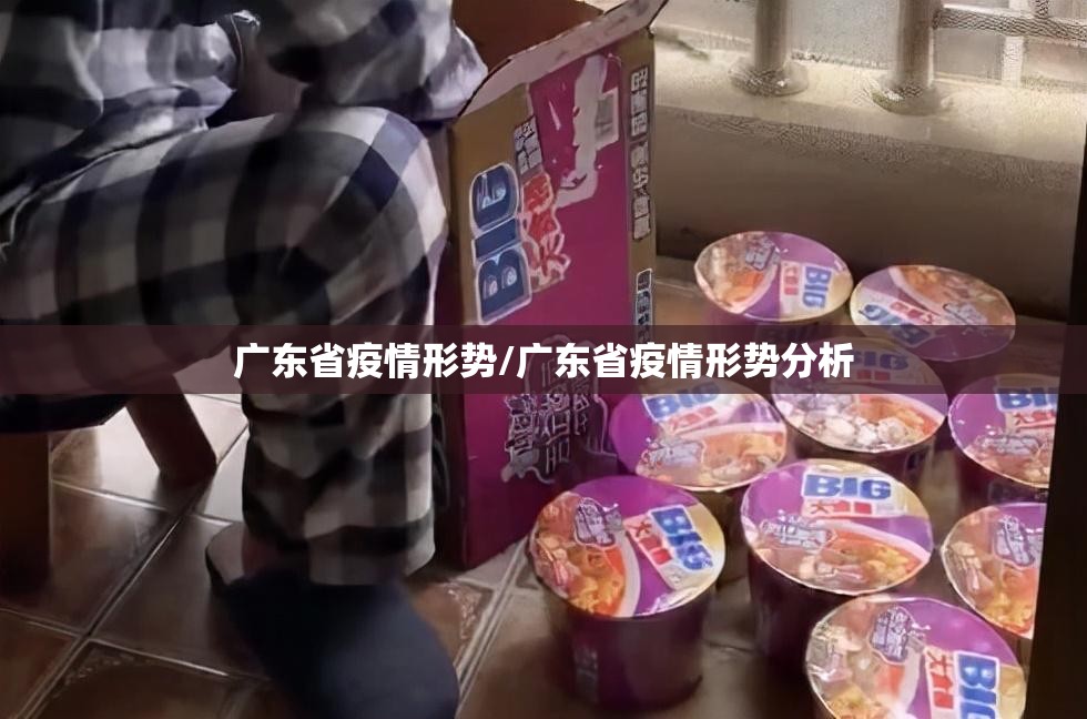 广东省疫情形势/广东省疫情形势分析