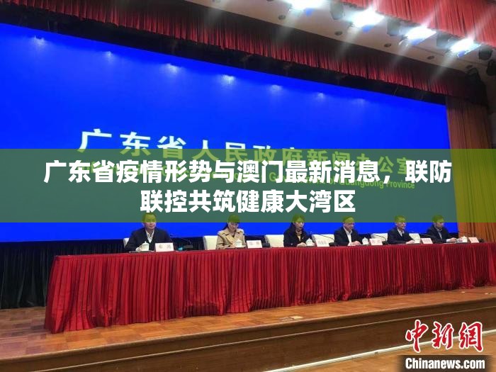广东省疫情形势与澳门最新消息，联防联控共筑健康大湾区