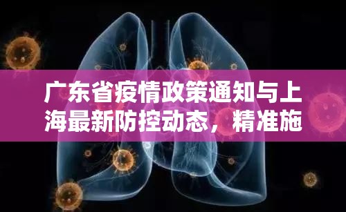 广东省疫情政策通知与上海最新防控动态，精准施策下的抗疫新阶段