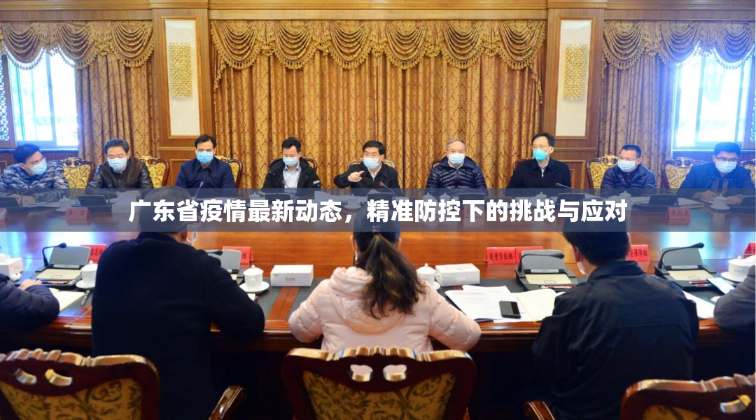 广东省疫情最新动态，精准防控下的挑战与应对