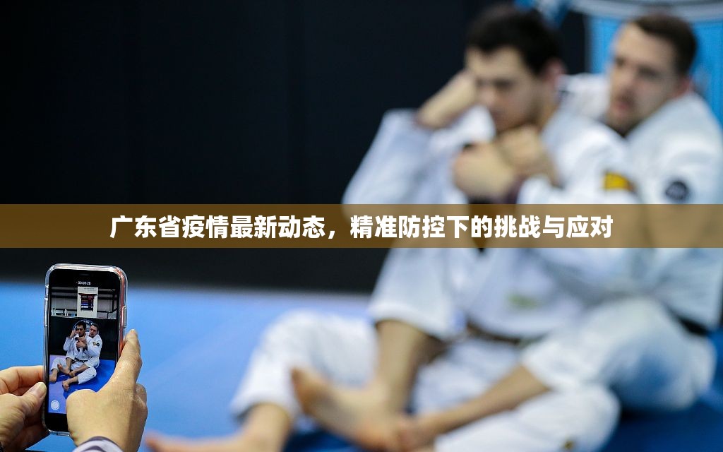 广东省疫情最新动态，精准防控下的挑战与应对