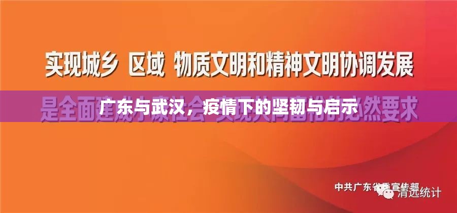 广东与武汉，疫情下的坚韧与启示