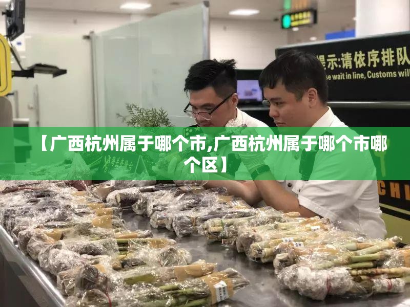 【广西杭州属于哪个市,广西杭州属于哪个市哪个区】