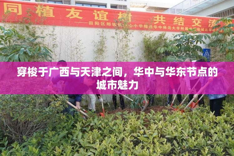 穿梭于广西与天津之间，华中与华东节点的城市魅力