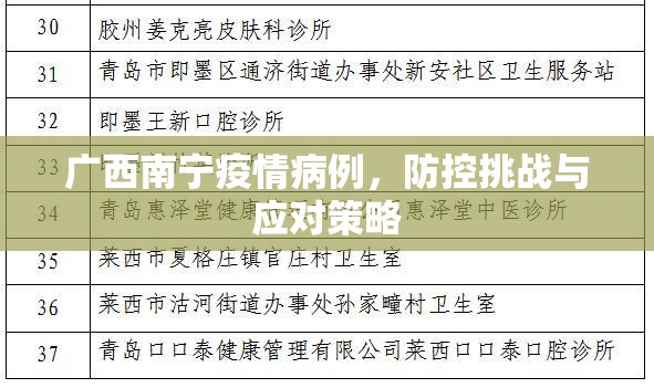 广西南宁疫情病例，防控挑战与应对策略