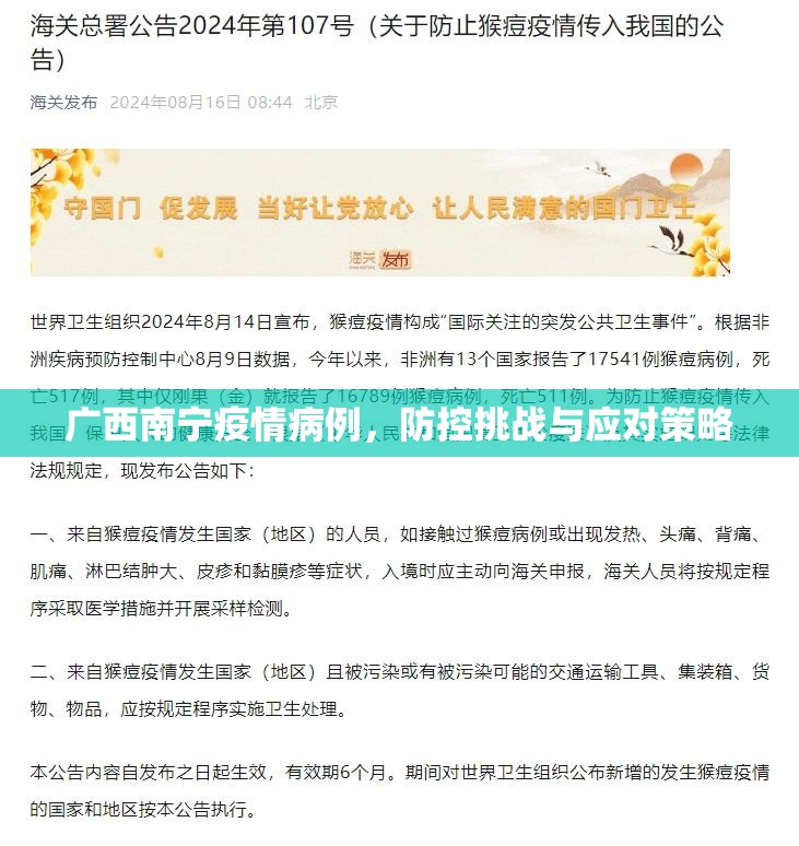 广西南宁疫情病例，防控挑战与应对策略
