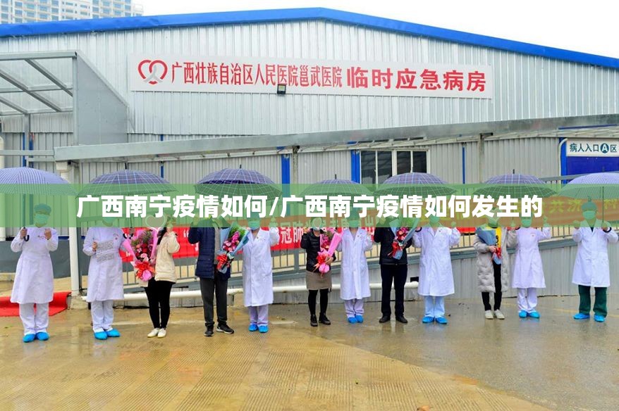 广西南宁疫情如何/广西南宁疫情如何发生的
