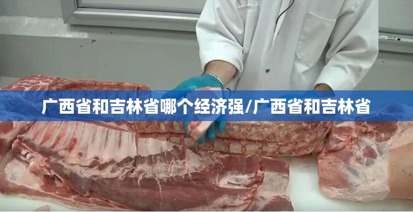 广西省和吉林省哪个经济强/广西省和吉林省