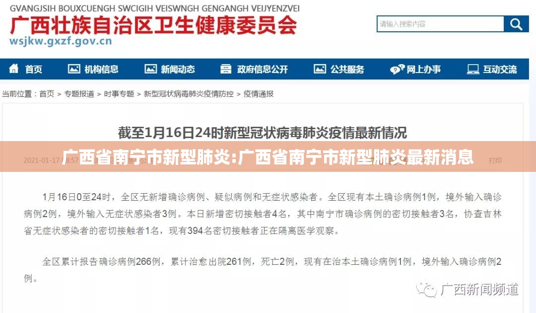广西省南宁市新型肺炎:广西省南宁市新型肺炎最新消息