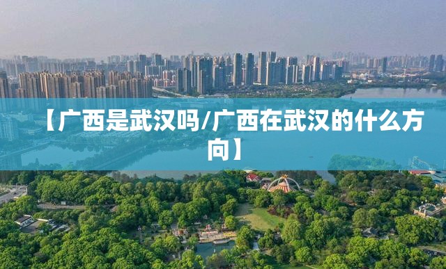 【广西是武汉吗/广西在武汉的什么方向】