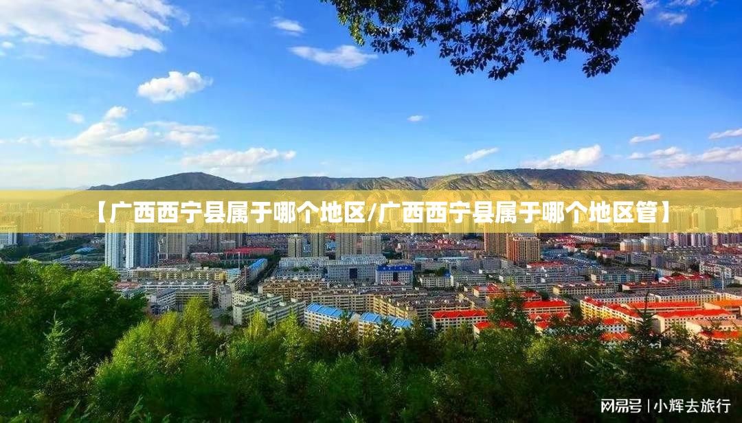 【广西西宁县属于哪个地区/广西西宁县属于哪个地区管】
