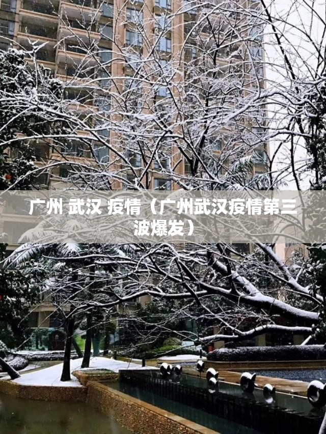 广州 武汉 疫情（广州武汉疫情第三波爆发）