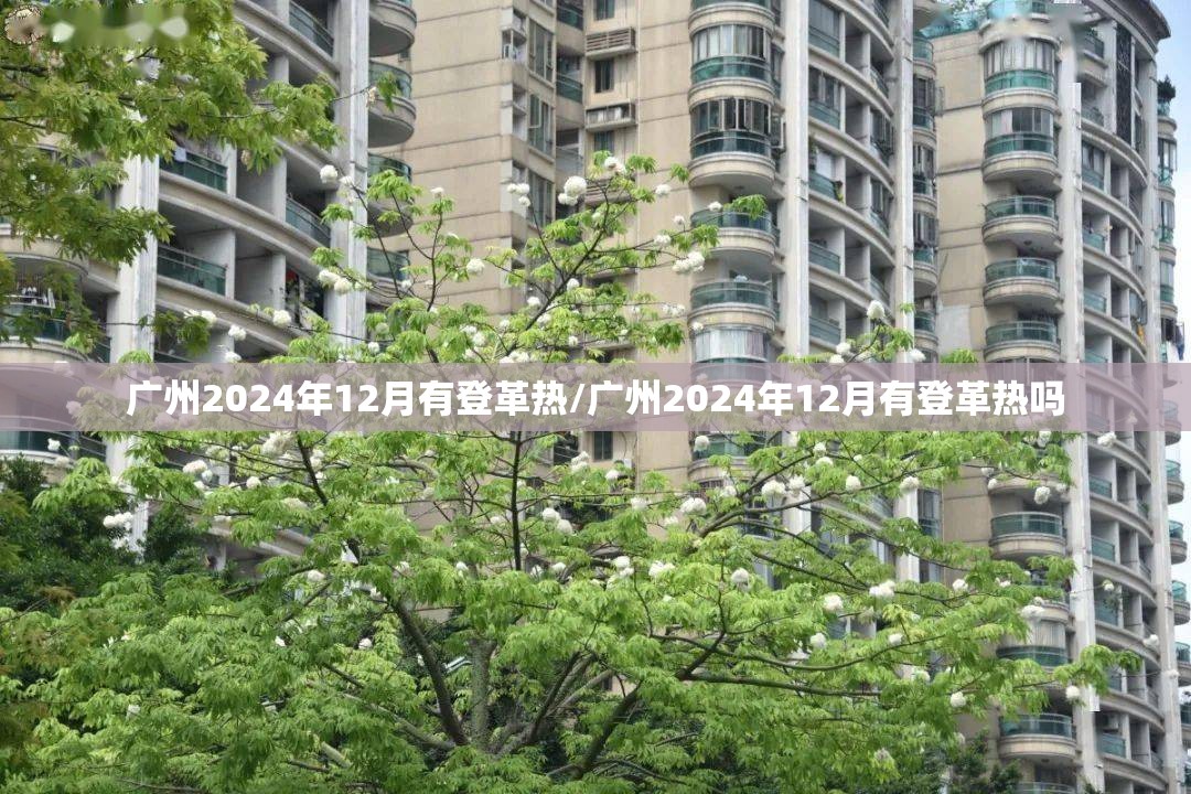 广州2024年12月有登革热/广州2024年12月有登革热吗