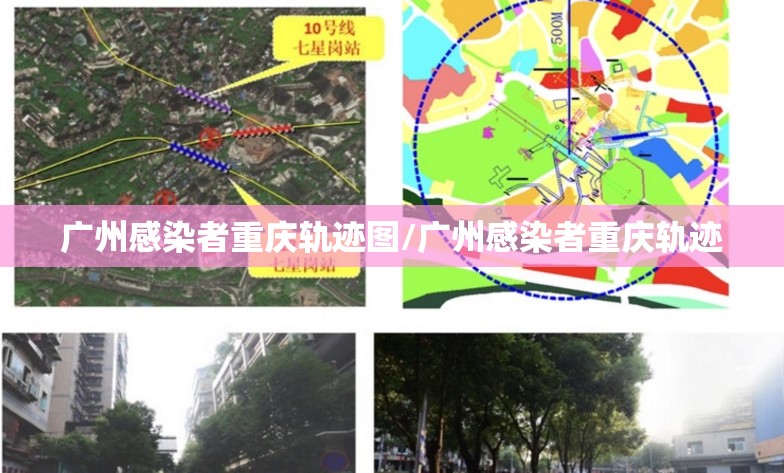 广州感染者重庆轨迹图/广州感染者重庆轨迹