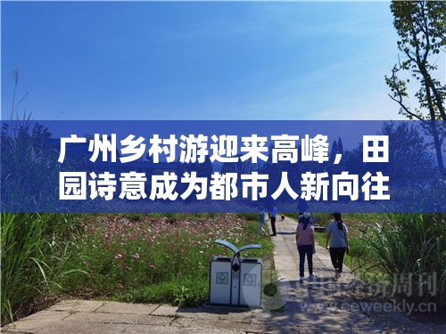 广州乡村游迎来高峰，田园诗意成为都市人新向往