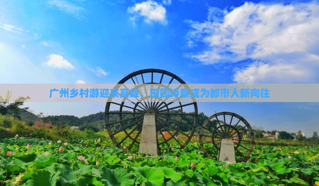 广州乡村游迎来高峰，田园诗意成为都市人新向往