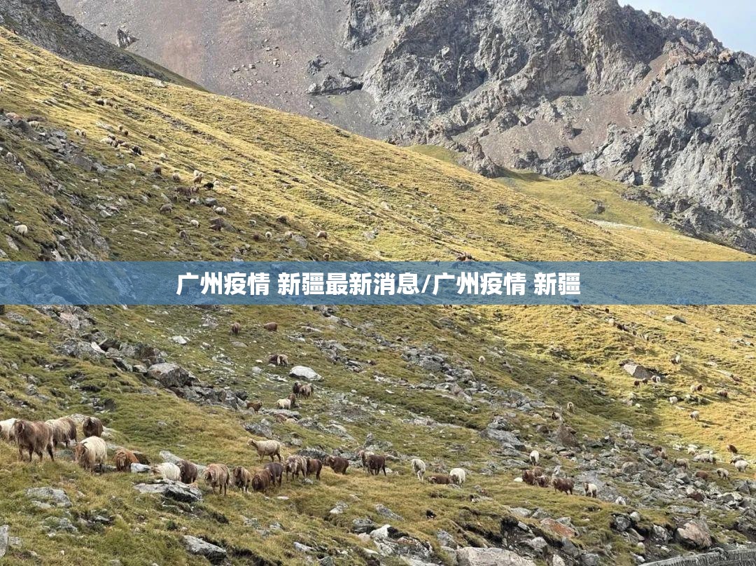 广州疫情 新疆最新消息/广州疫情 新疆