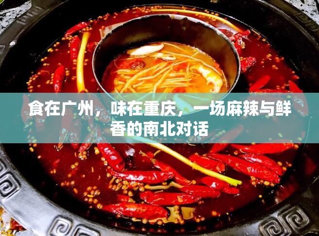 食在广州，味在重庆，一场麻辣与鲜香的南北对话