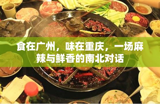 食在广州，味在重庆，一场麻辣与鲜香的南北对话
