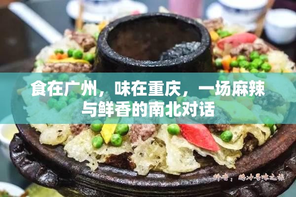 食在广州，味在重庆，一场麻辣与鲜香的南北对话