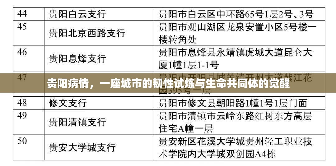 贵阳病情，一座城市的韧性试炼与生命共同体的觉醒