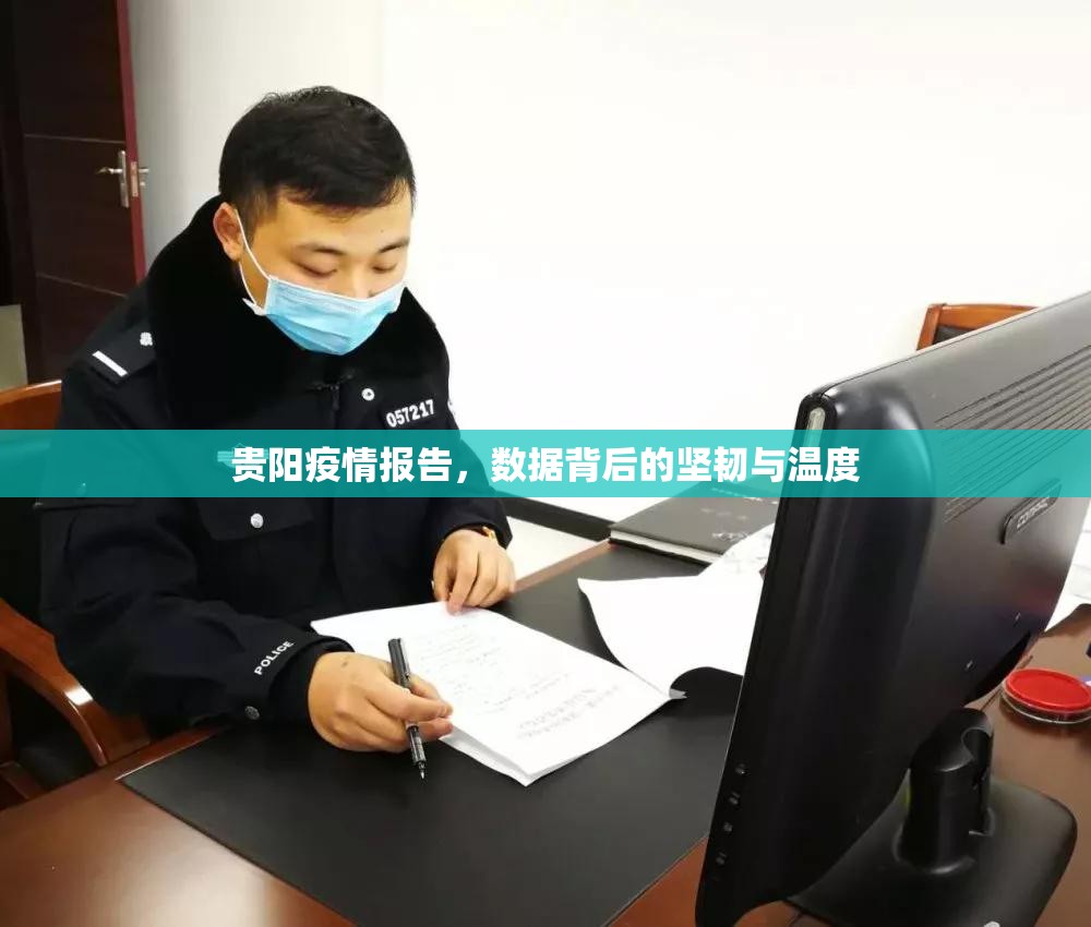 贵阳疫情报告，数据背后的坚韧与温度