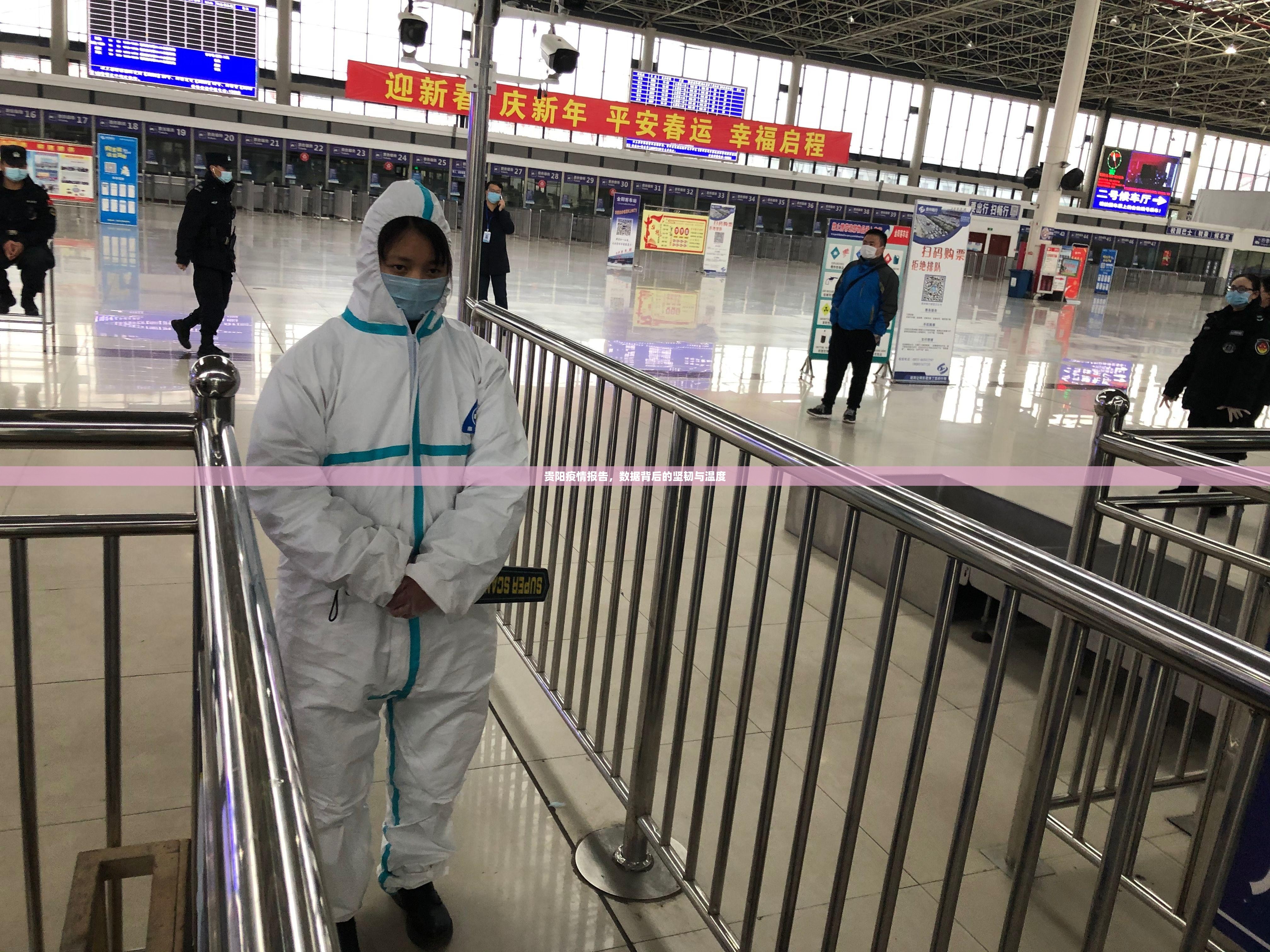贵阳疫情报告，数据背后的坚韧与温度