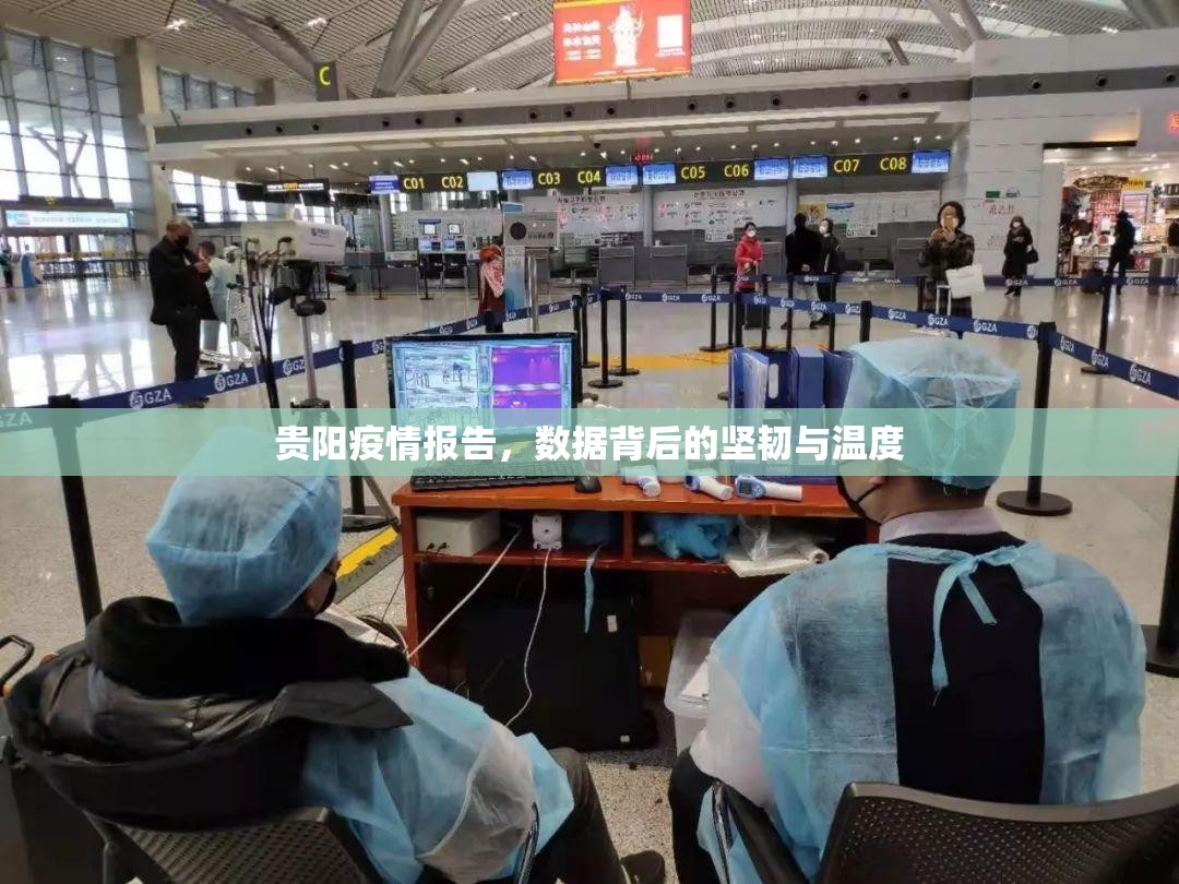 贵阳疫情报告，数据背后的坚韧与温度