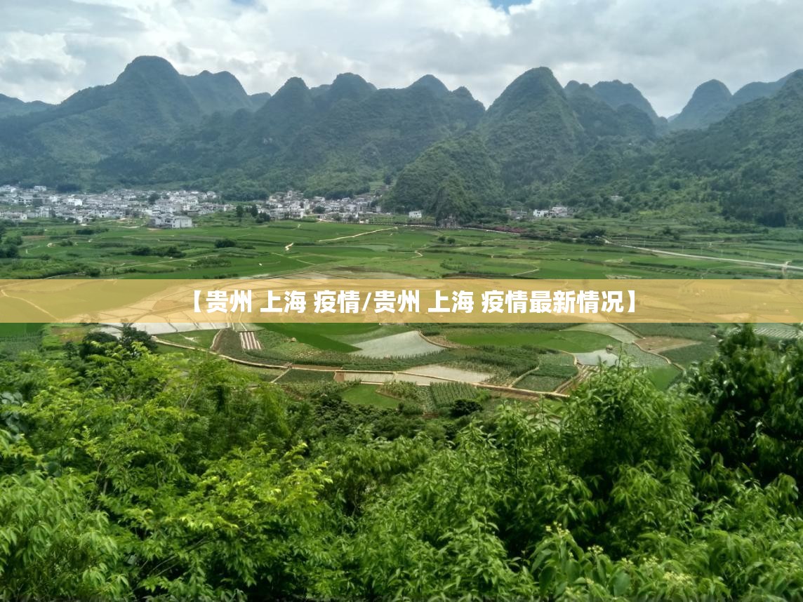 【贵州 上海 疫情/贵州 上海 疫情最新情况】
