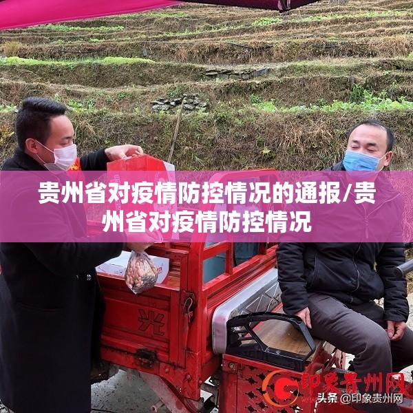 贵州省对疫情防控情况的通报/贵州省对疫情防控情况