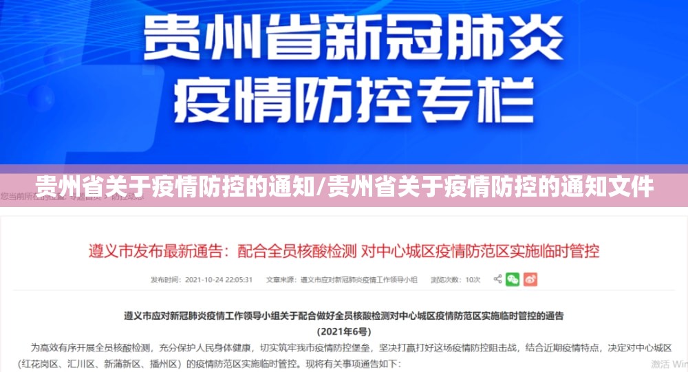贵州省关于疫情防控的通知/贵州省关于疫情防控的通知文件