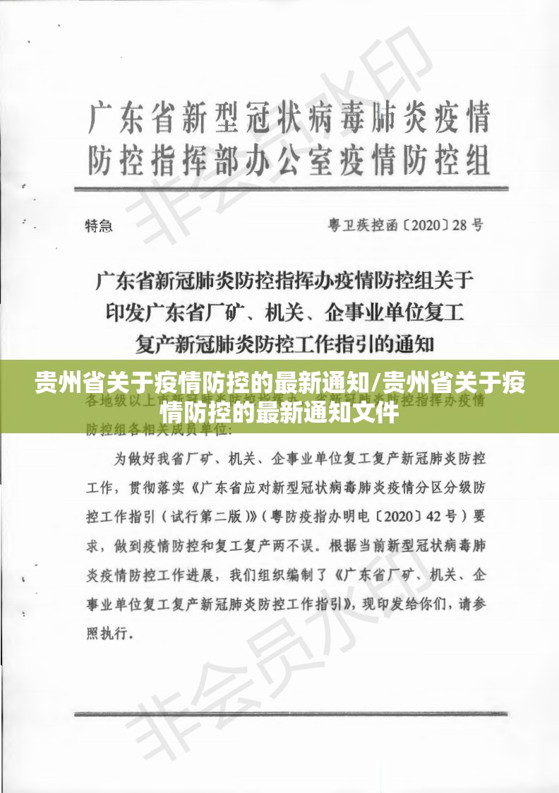 贵州省关于疫情防控的最新通知/贵州省关于疫情防控的最新通知文件