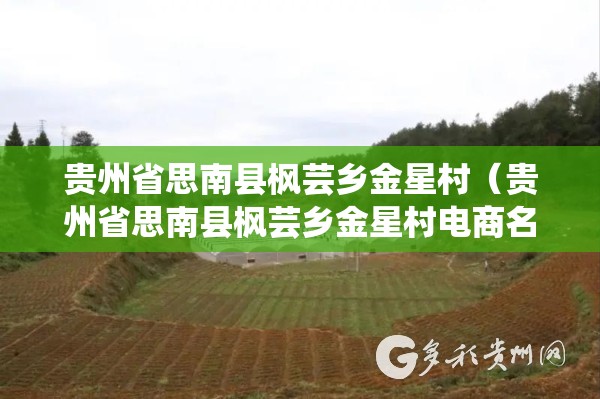 贵州省思南县枫芸乡金星村（贵州省思南县枫芸乡金星村电商名单）