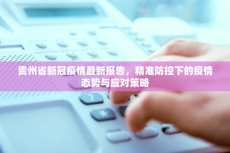 贵州省新冠疫情最新报告，精准防控下的疫情态势与应对策略