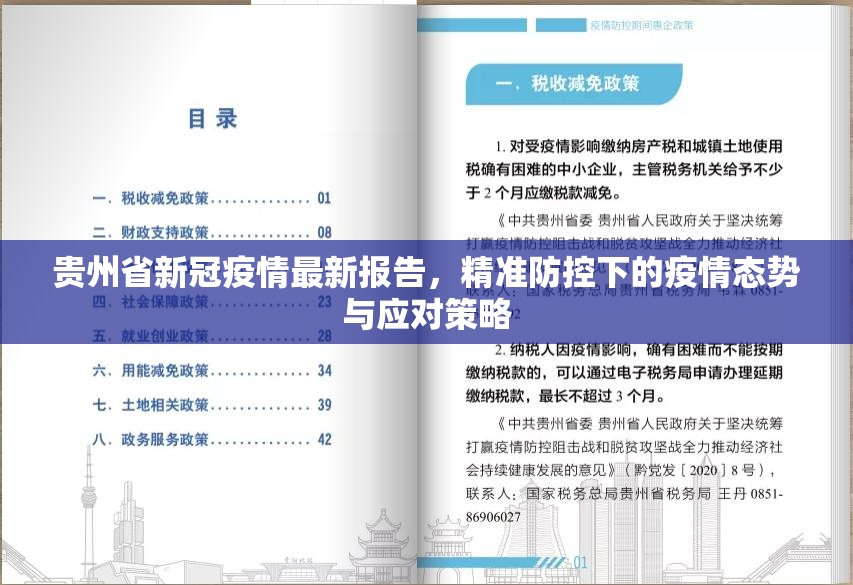 贵州省新冠疫情最新报告，精准防控下的疫情态势与应对策略