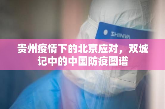 贵州疫情下的北京应对，双城记中的中国防疫图谱